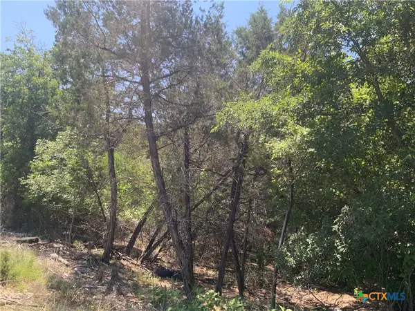 4105 Sherwood Drive, Belton, TX 76513