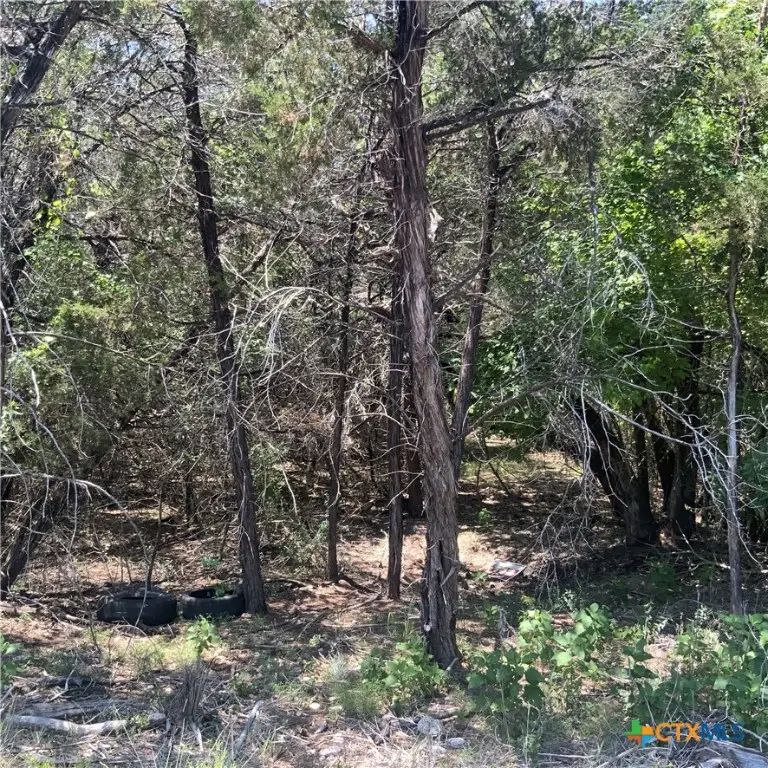 4105 Sherwood Drive, Belton, TX 76513 - Image #2