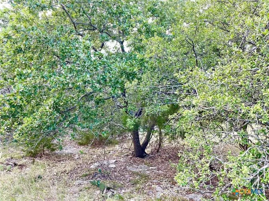 63 Cedar Trails Drive, Belton, TX 76513 - Image #2