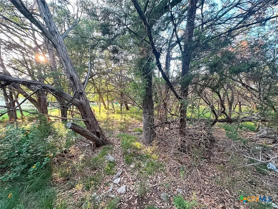 24 Quail Loop, Belton, TX 76513 - Image #2