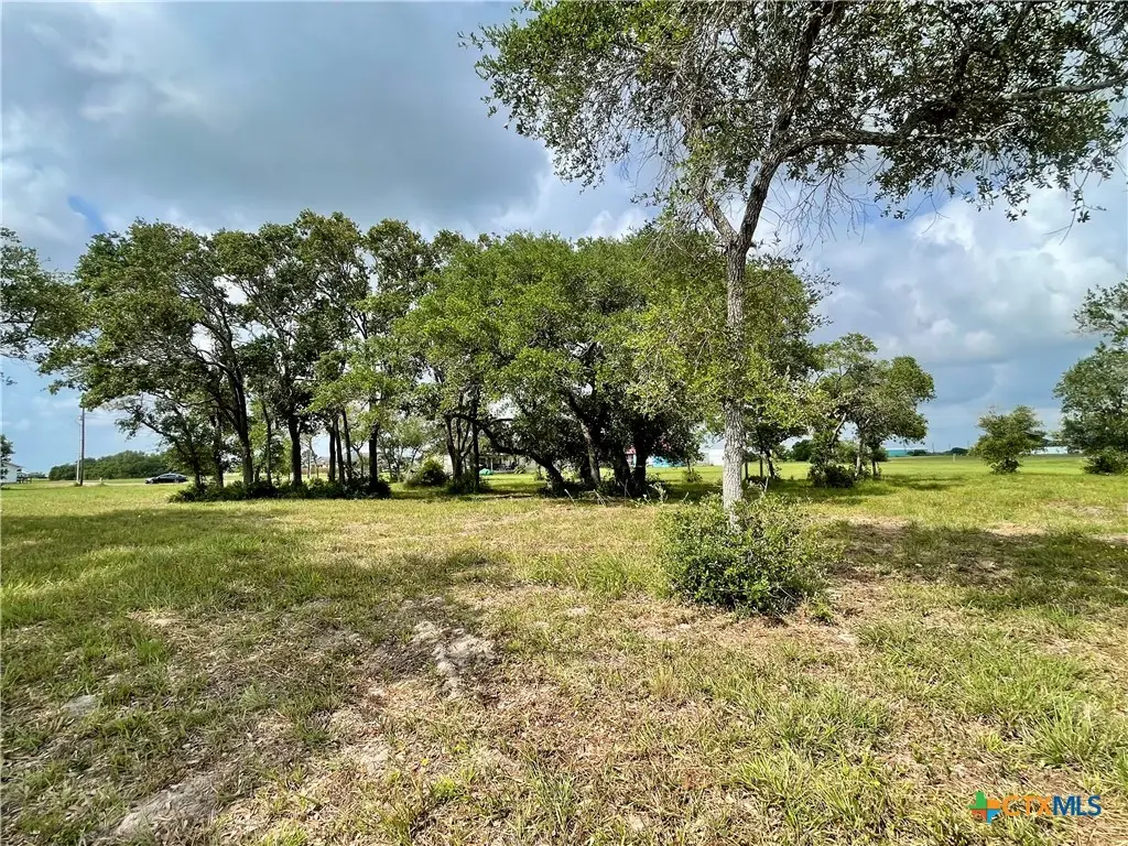 67 W Dewberry Lane, Seadrift, TX 77983 - Image #1