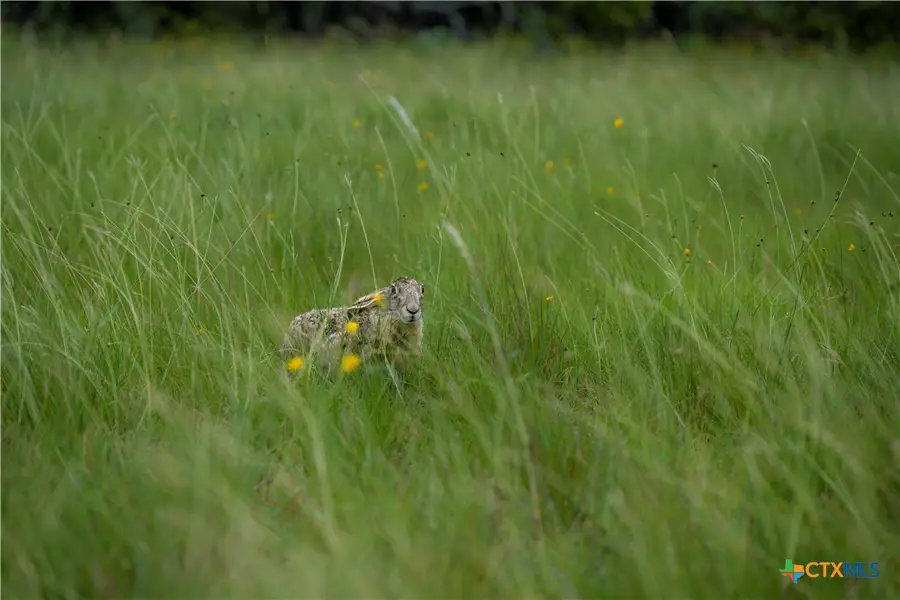 00 W Cr 224, Briggs, TX 78608 - Image #2