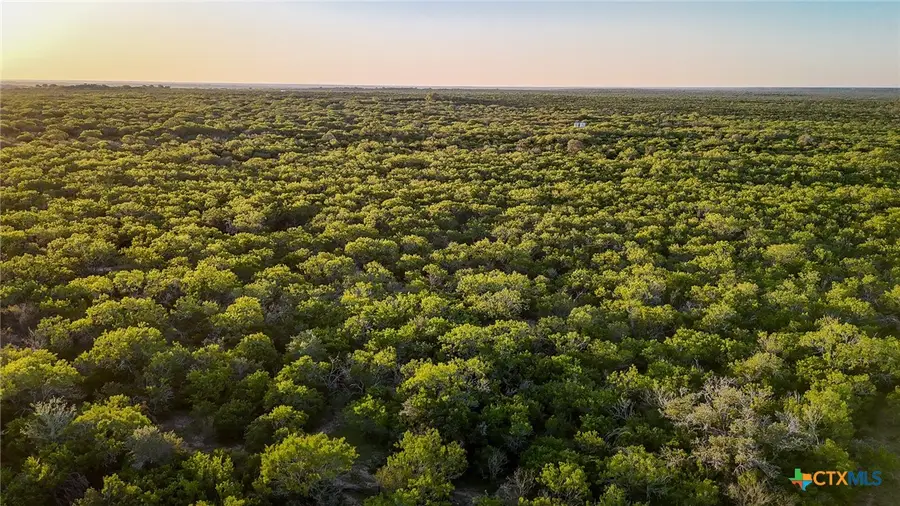 000 County Line Rd # 120, Beeville, TX 78102 - Image #3