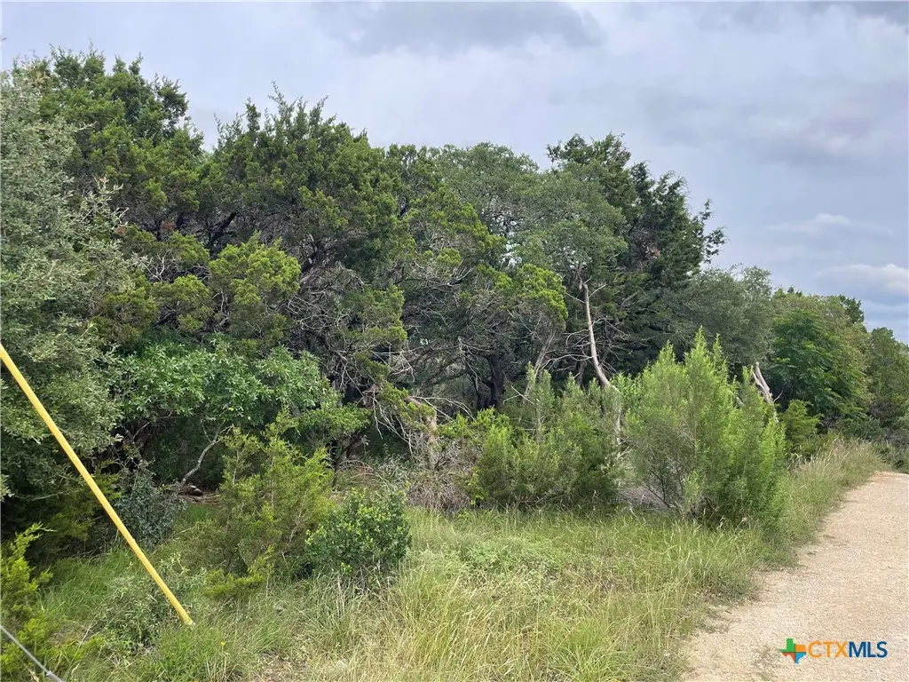 1021 Santa Fe Trail, Spring Branch, TX 78070 - Image #1