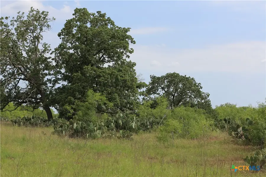 974 County Road 451, Waelder, TX 78959 - Image #2