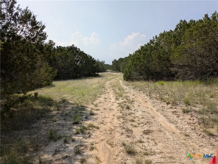 Tract 5 County Road 4390, Kempner, TX 76539 - Image #3