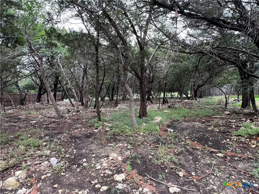 15735 Salado Drive, Temple, TX 76502 - Image #3