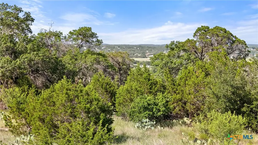 128 Enigma Avenue, Spring Branch, TX 78070 - #2