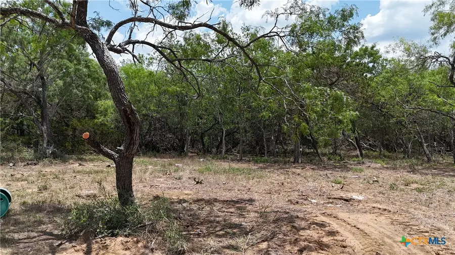 164 Fm 3158, Dale, TX 78616 - Image #2