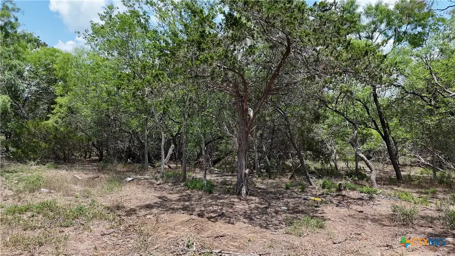 164 Fm 3158, Dale, TX 78616 - Image #3