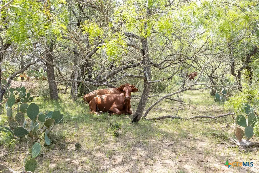 410 Green Acre Drive, Dale, TX 78616 - Image #3