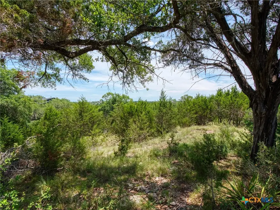114 Oyster Springs, Canyon Lake, TX 78133 - Image #2