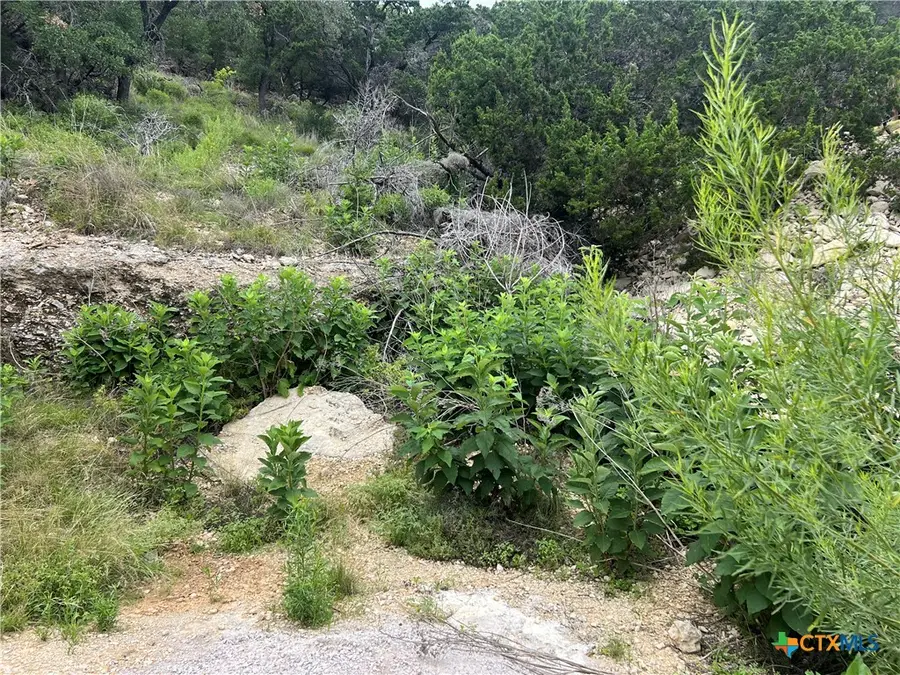 1609 Trail Pass Drive, Canyon Lake, TX 78133 - #3