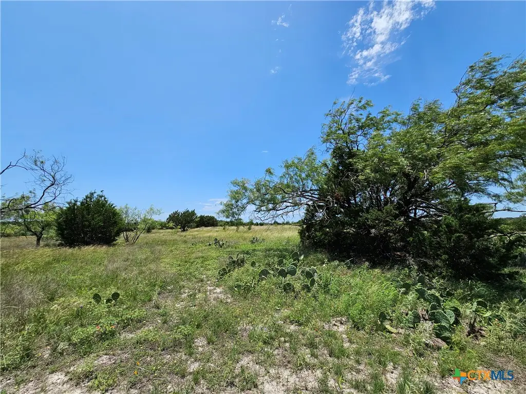 Lot 111 Shin Oak Drive, Lampasas, TX 76550 - Image #1
