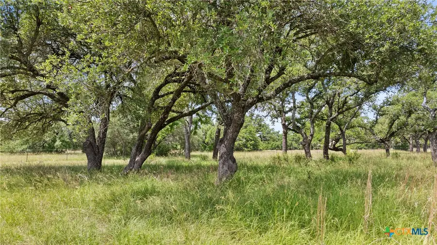 997 Sandy Oaks Ranch Rd, Johnson City, TX 78636 - Image #3