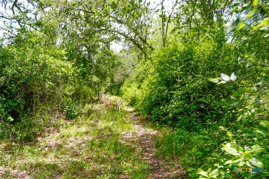 TBD Fm 3233, La Grange, TX 78945 - Image #3