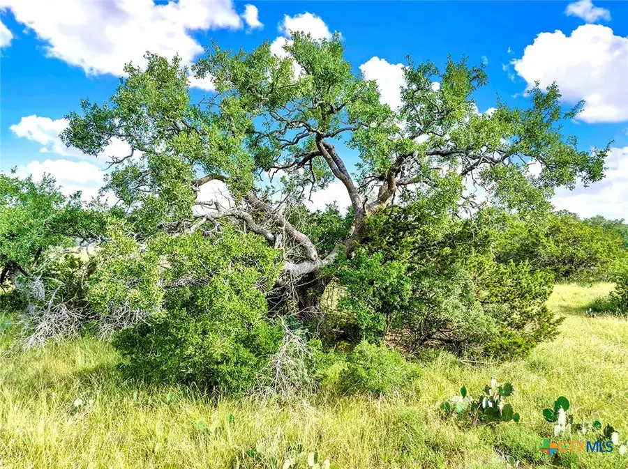 TBD Oakwood Loop, San Marcos, TX 78666 - Image #3