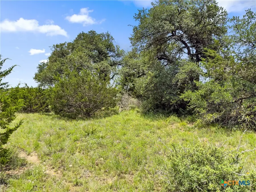 141 Vista View Place, Spring Branch, TX 78070 - Image #2