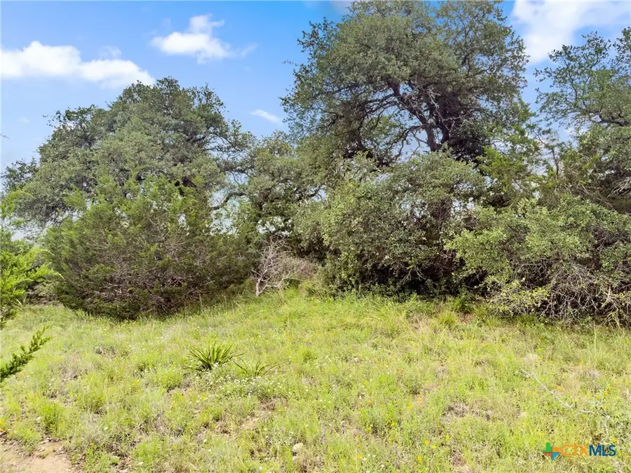 141 Vista View Place, Spring Branch, TX 78070 - Image #3