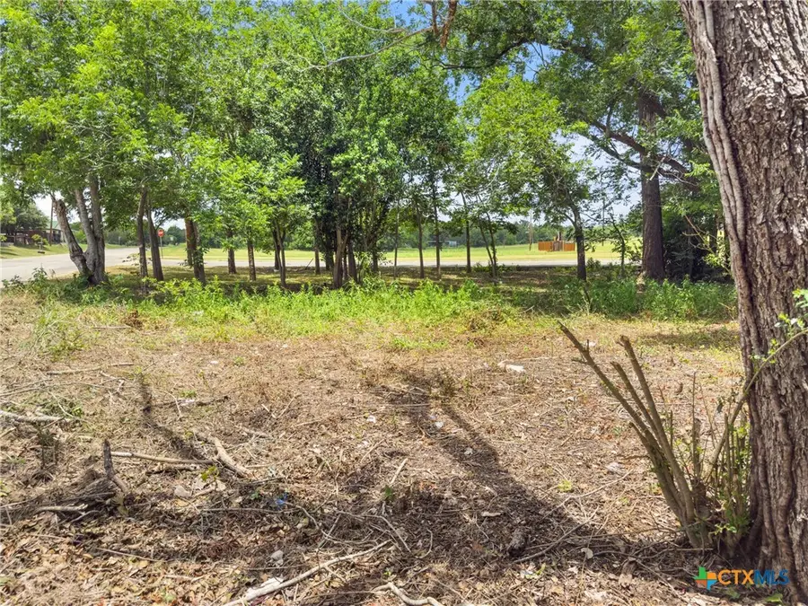 1140 N Hackberry Avenue, Luling, TX 78648 - Image #3