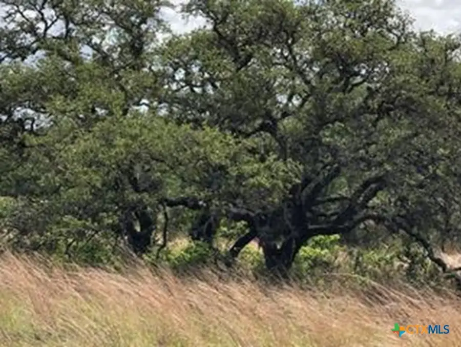 207 Verbena Court, Johnson City, TX 78636 - Image #2