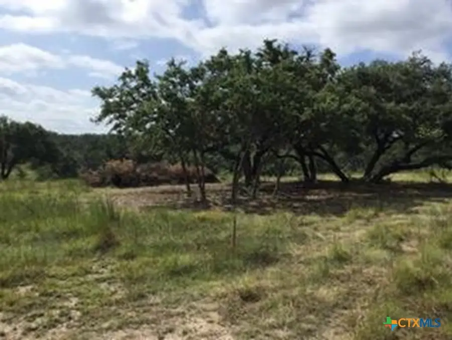 207 Verbena Court, Johnson City, TX 78636 - Image #3