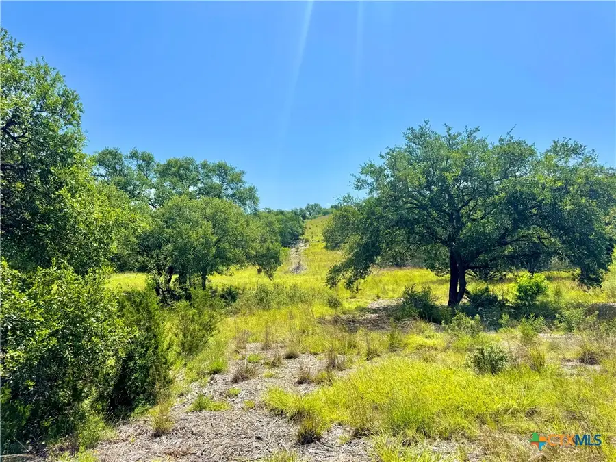 833 Bell Canyon Way, Bulverde, TX 78163 - Image #3