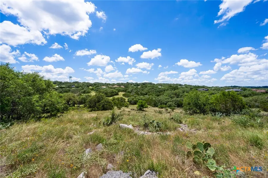 163 Northridge, New Braunfels, TX 78132 - Image #3