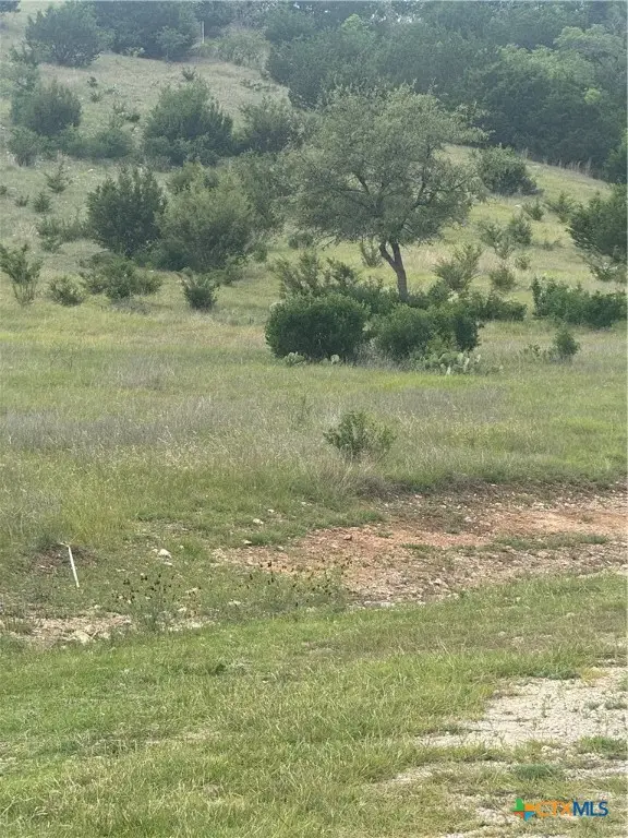 3013 Cottonwood Mesa Drive, Kempner, TX 76539 - Image #1