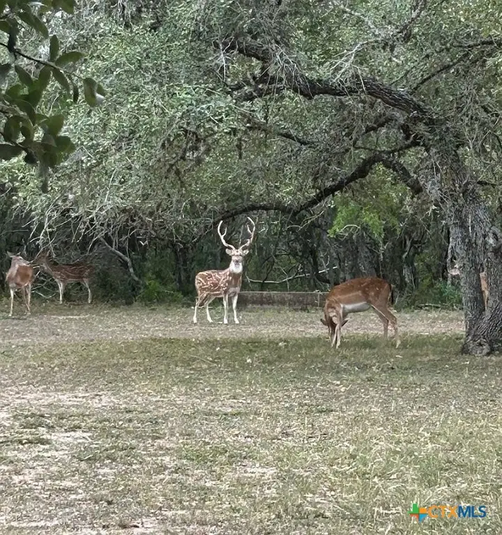 305 Cr 305, Beeville, TX 78102 - Image #1