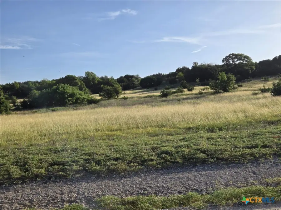 102 Yellowstone Drive, Oglesby, TX 76561 - Image #3