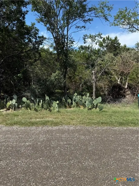 0000 Elf Trail, Belton, TX 76513 - #2