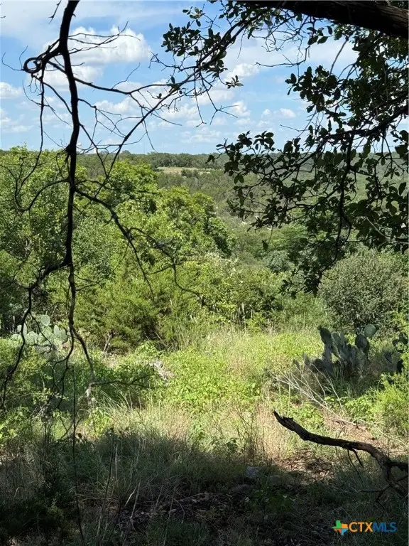 0000 Elf Trail, Belton, TX 76513 - #3