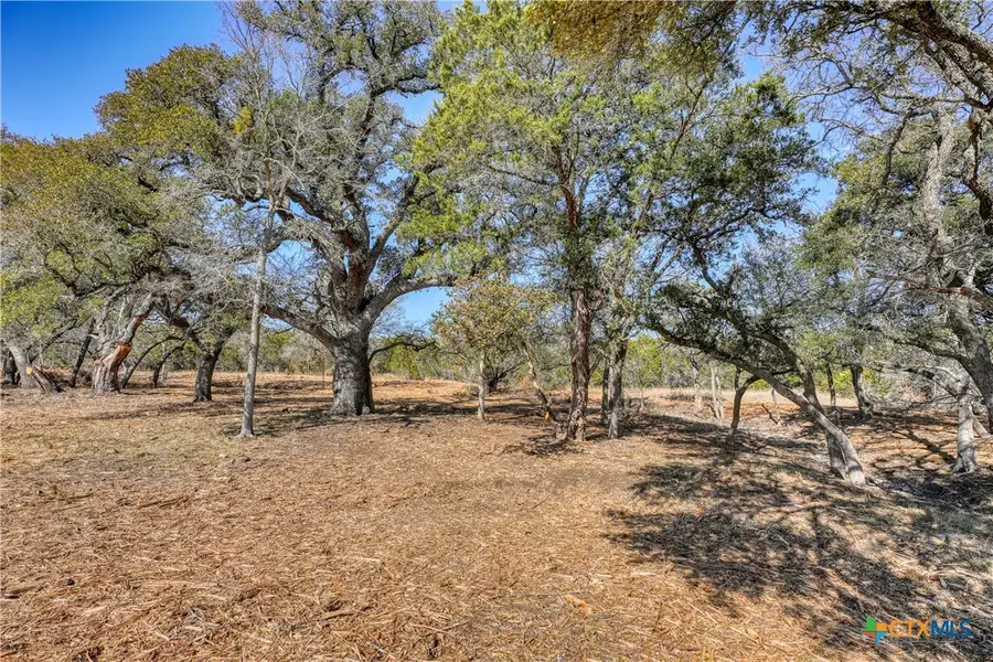 Lot 21 Burnet Oaks Drive, Burnet, TX 78611 - Image #2