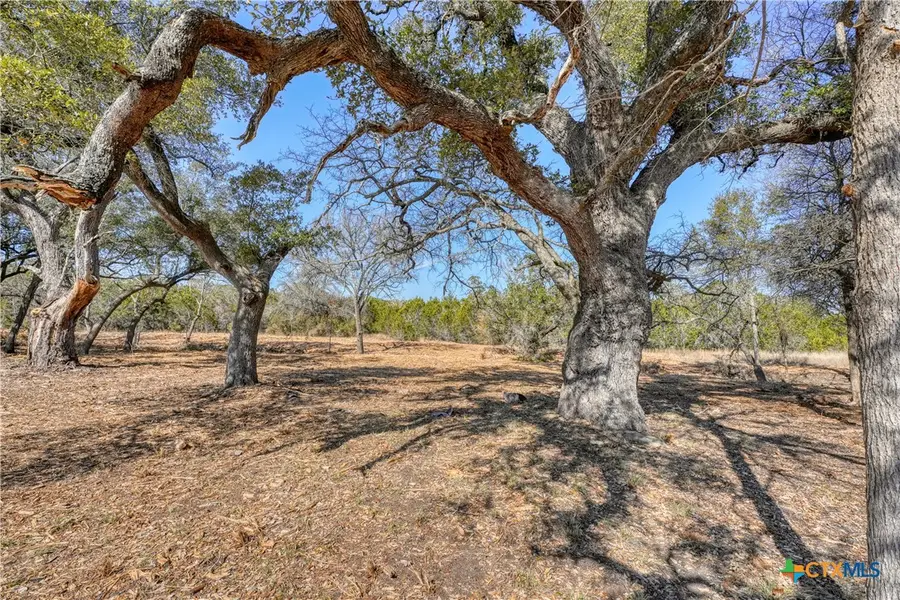 Lot 21 Burnet Oaks Drive, Burnet, TX 78611 - Image #3