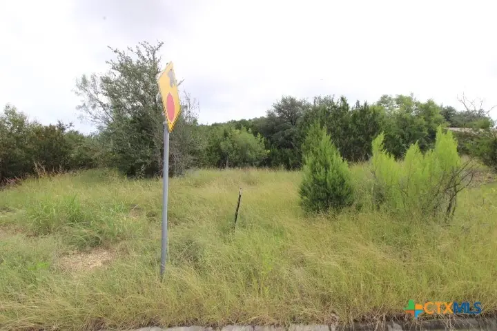 2305 Phyllis Drive, Copperas Cove, TX 76522 - Image #2