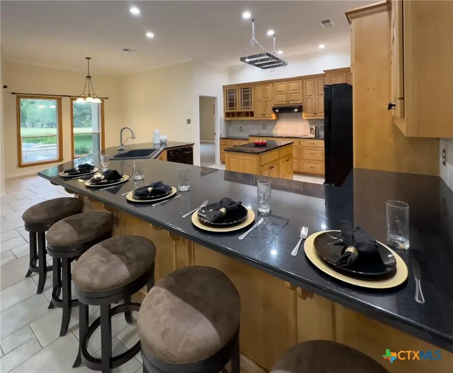 1448 Hidden Springs Drive, Salado, TX 76571 - Image #2