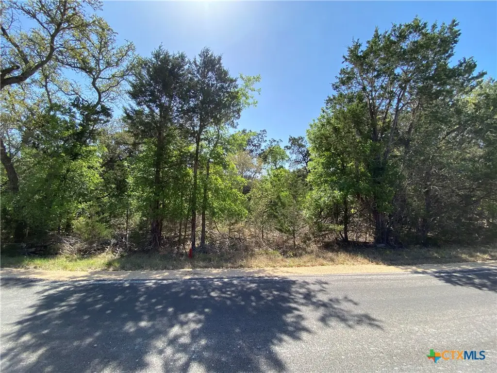 4224 Wegner Road, New Braunfels, TX 78132 - Image #1