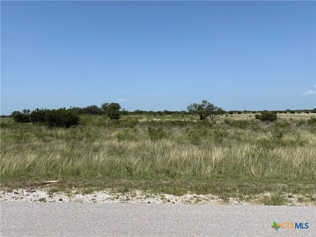 Lot 4 Homestead Drive, Lampasas, TX 76550 - Image #1