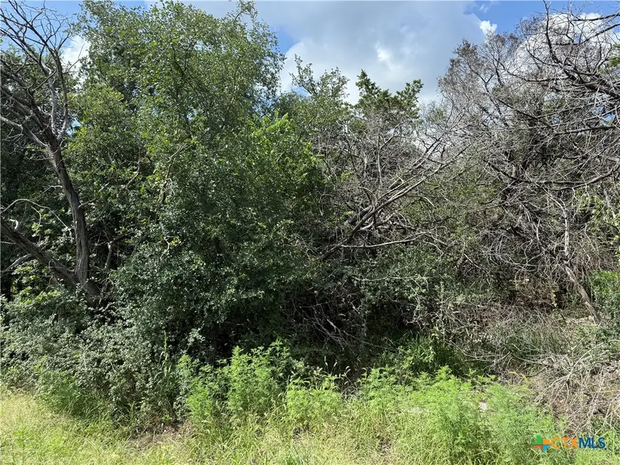 13328 Harbor Drive, Temple, TX 76502 - Image #2