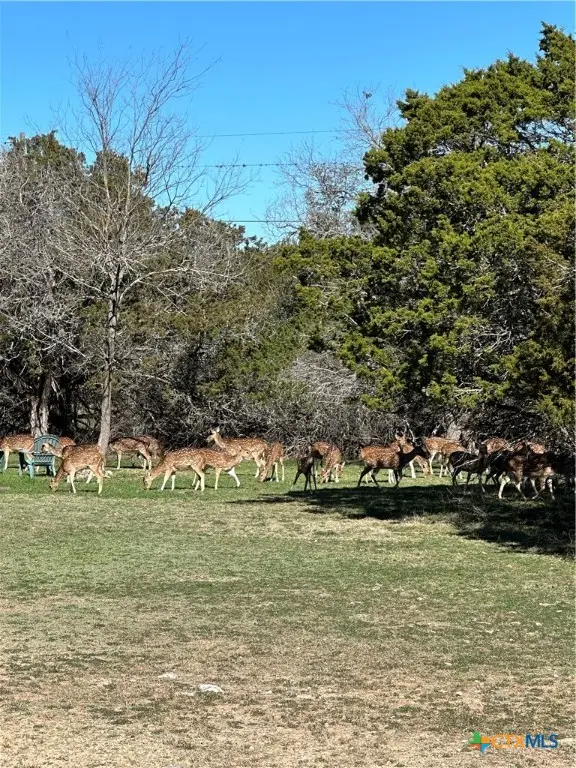 0 Deerwood Circle, Bandera, TX 78003 - Image #2