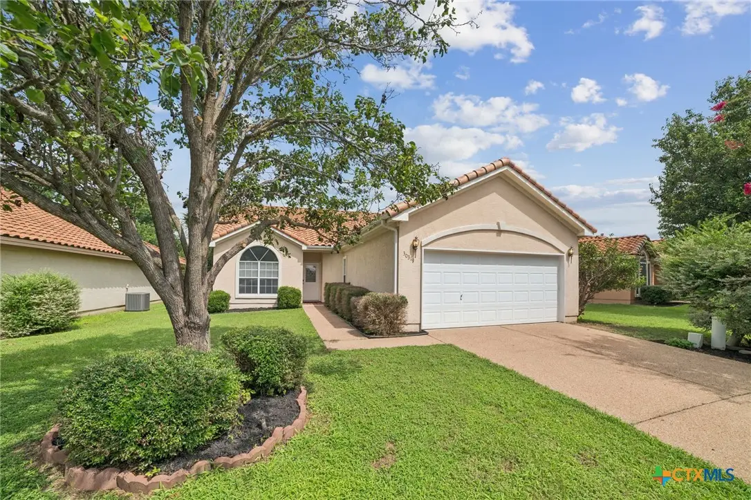 30319 Briarcrest Drive, Georgetown, TX 78628 - Image #1