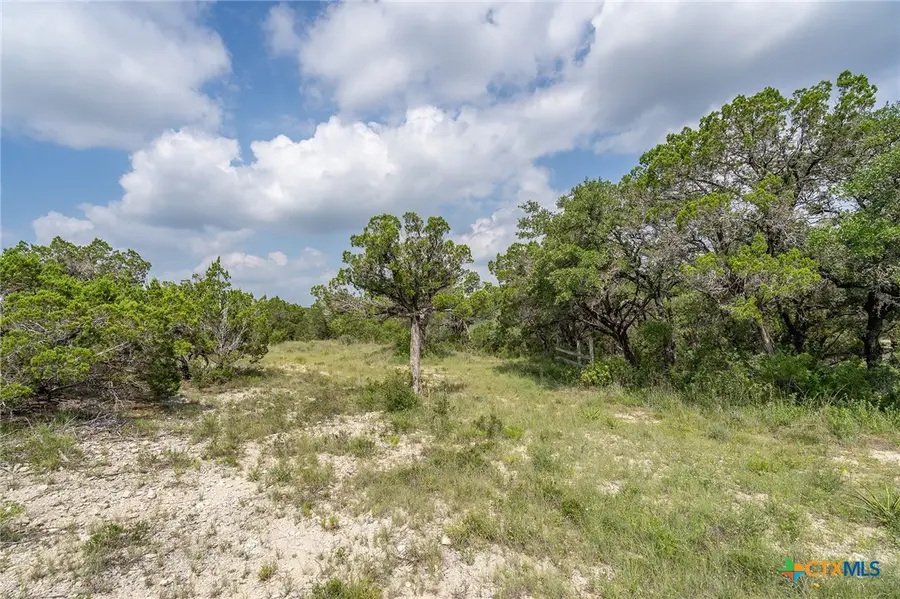19705 Tyler Trail, Jonestown, TX 78645 - #2