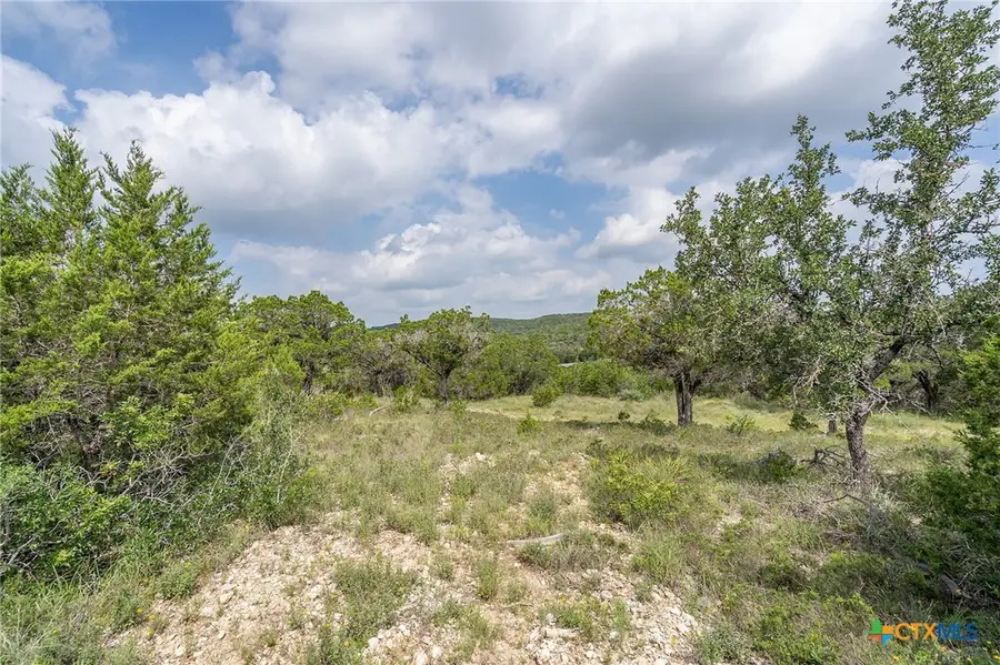 19705 Tyler Trail, Jonestown, TX 78645 - #3