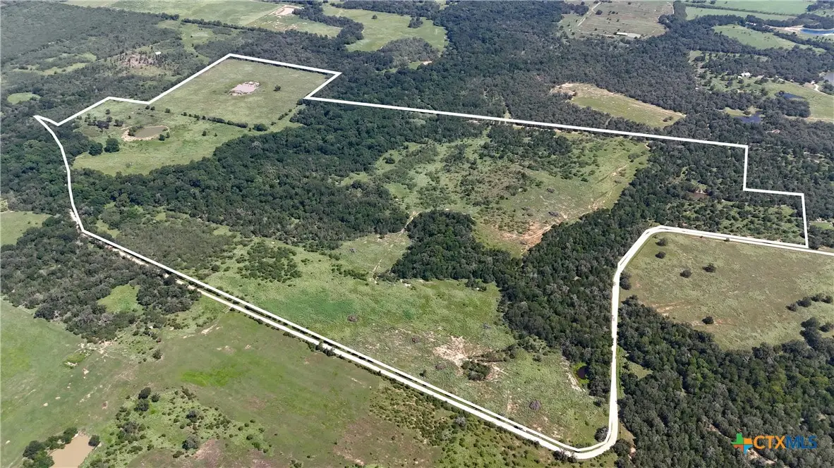 9590 Maynard Hallmark Road, Flatonia, TX 78941 - Image #1