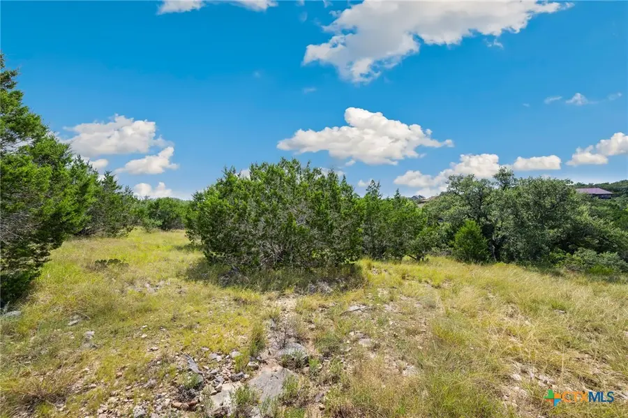 428 Cavy Road, New Braunfels, TX 78132 - #3