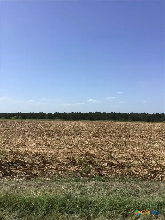 TBD Cr 461, Troy, TX 76579 - Image #3