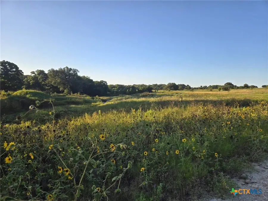 149 Guadalupe Drive, Oglesby, TX 76561 - Image #2