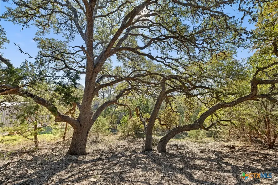 111 La Luna Drive, Blanco, TX 78606 - Image #2