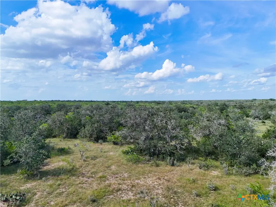 Lot 1 County Road 211, Smiley, TX 78159 - Image #3